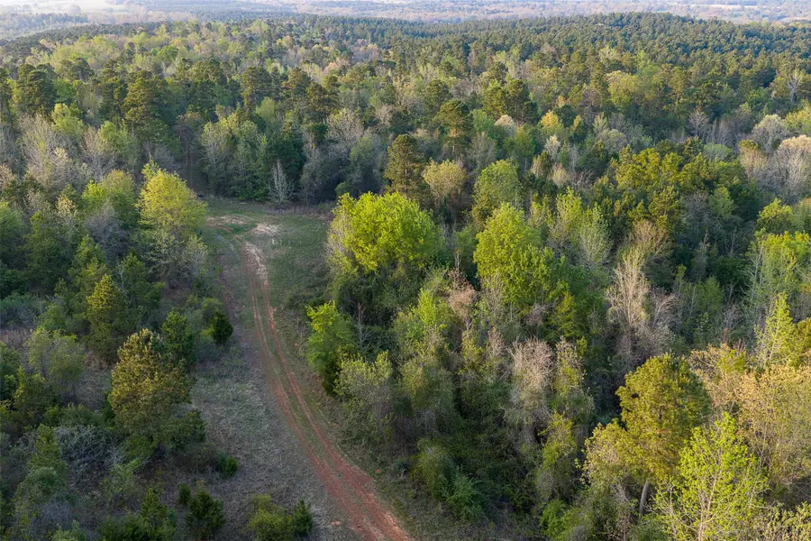 923 W Main St, Ore City, TX 75683 - #2