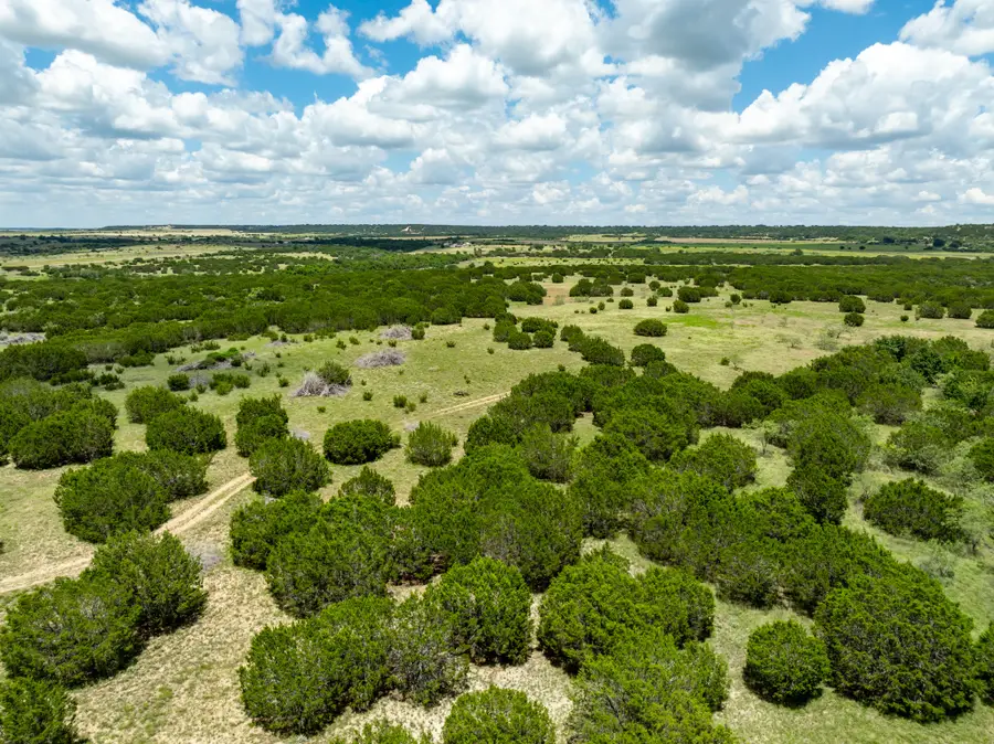 11439 Fm 1602 (124), Jonesboro, TX 76538 - #3