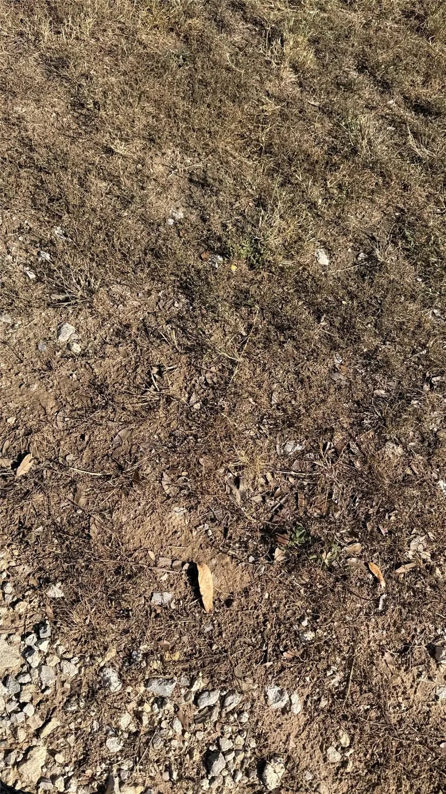 0 Bowers Street, Santa Anna, TX 76878 - #3