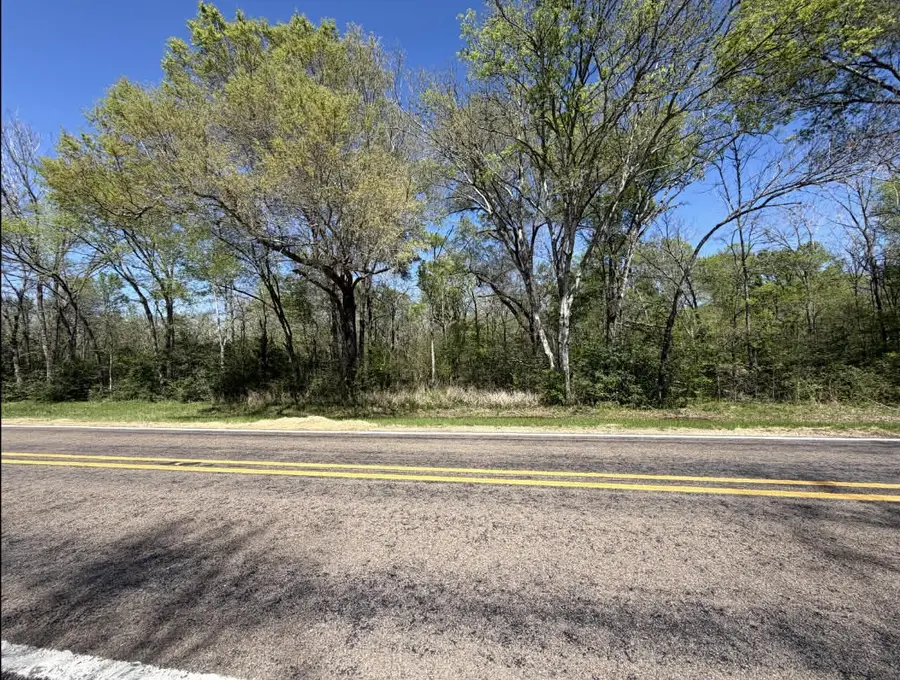 Tract 2 Fm 542, Oakwood, TX 75855 - #3