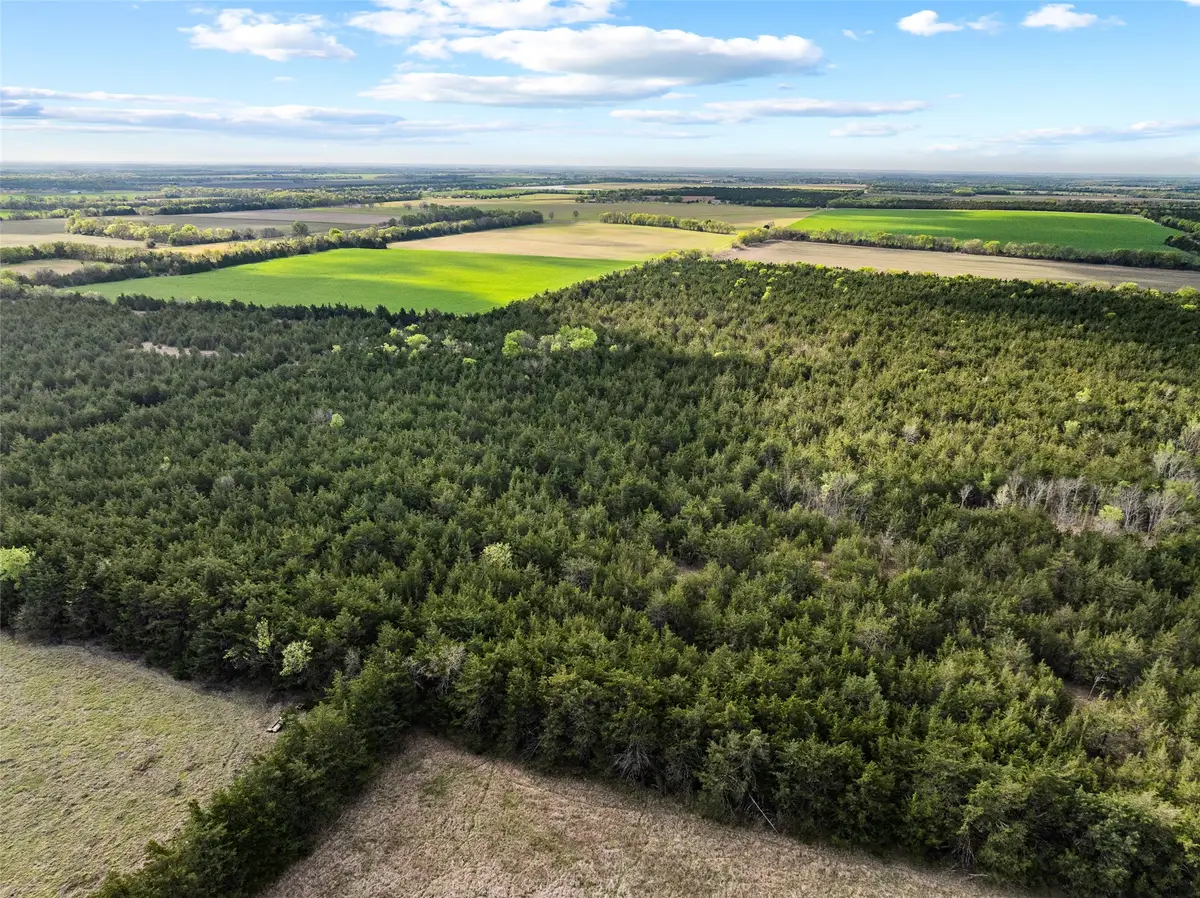 TBD Fm 198, Cooper, TX 75432 - #1