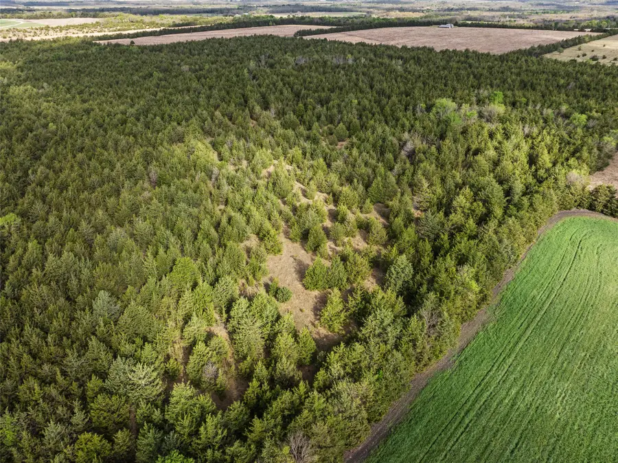 TBD Fm 198, Cooper, TX 75432 - #2