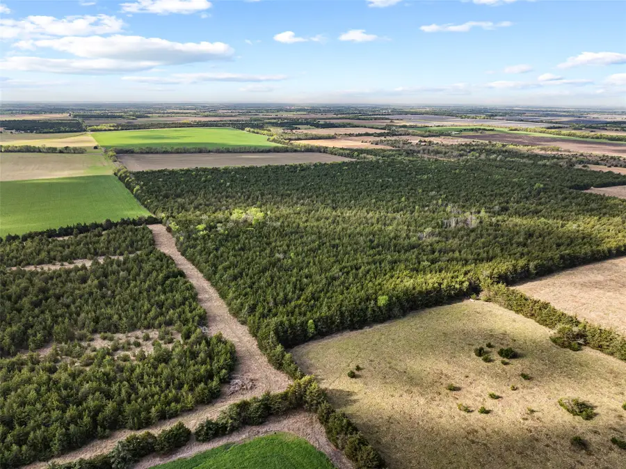 TBD Fm 198, Cooper, TX 75432 - #3