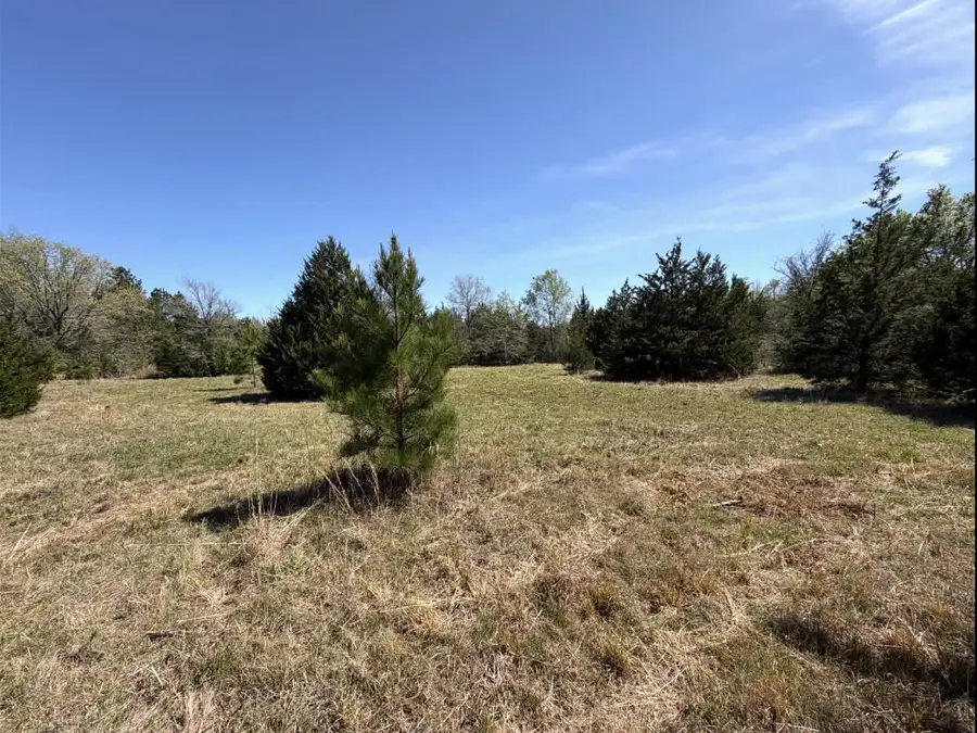 Tract 3 Fm 542, Oakwood, TX 75855 - #3