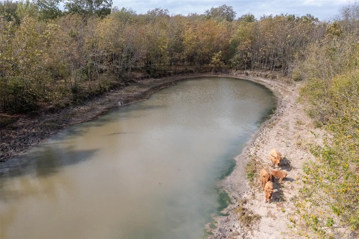 4081 Fm 2736 #D, Campbell, TX 75422 - #1