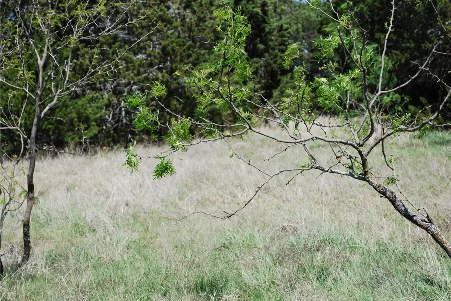 19016 Bluebonnet Drive, Whitney, TX 76692 - #3