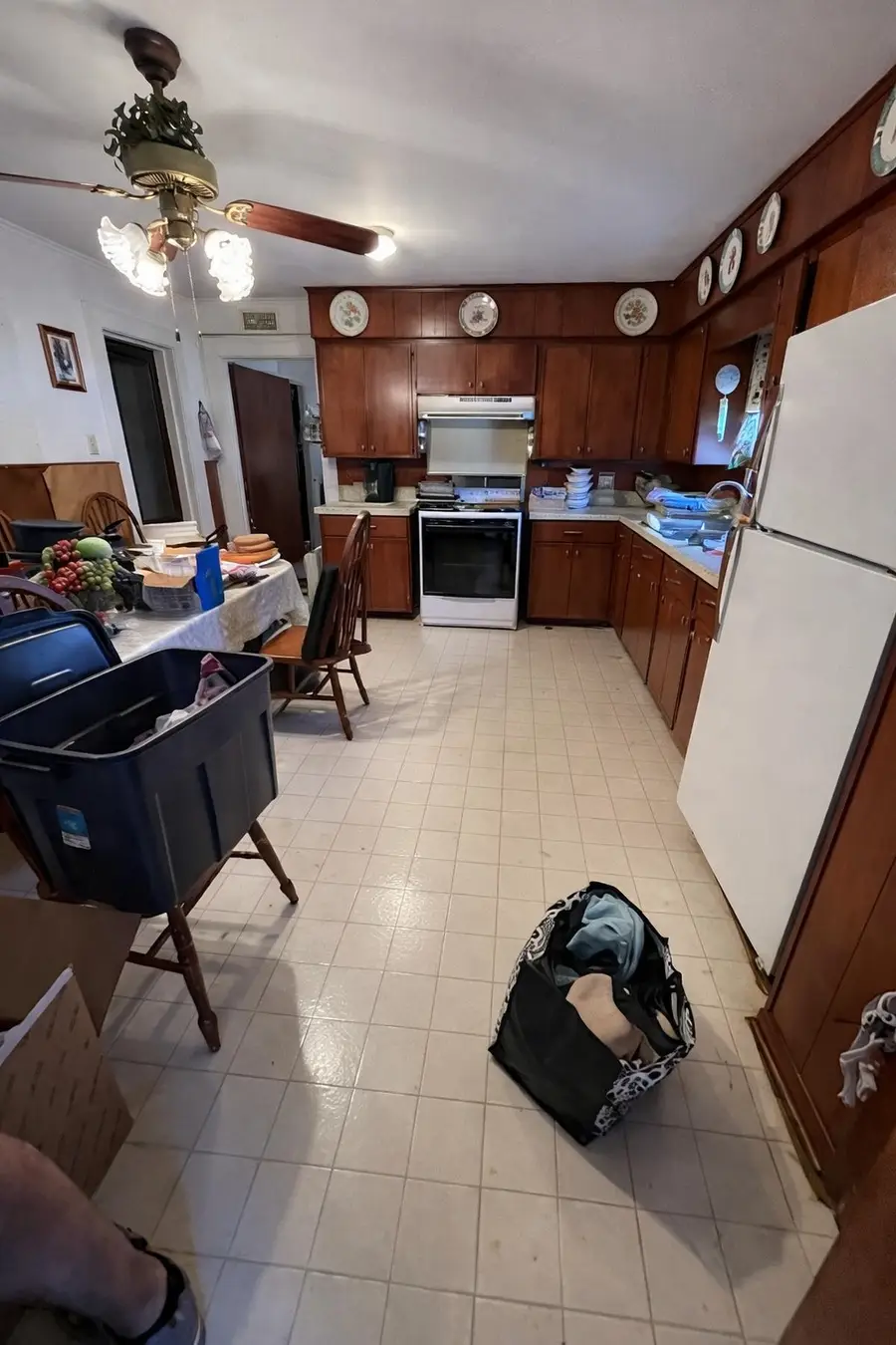 115 N Adkisson Lane, Jewett, TX 75846 - #3