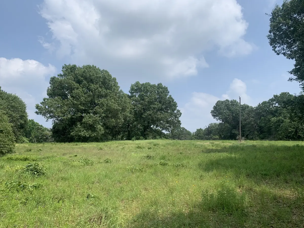 TBD Cr 381, Oakwood, TX 75855 - #1
