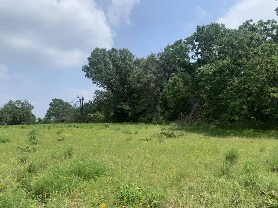 TBD Cr 381, Oakwood, TX 75855 - #3