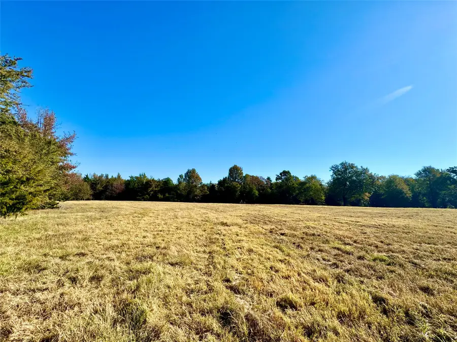 42 Acres County Road 2400, Pickton, TX 75471 - #2