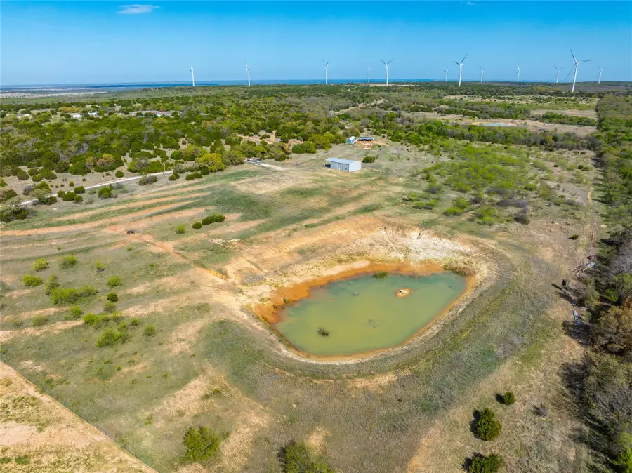 231 Georgia Pass, Desdemona, TX 76445 - #3