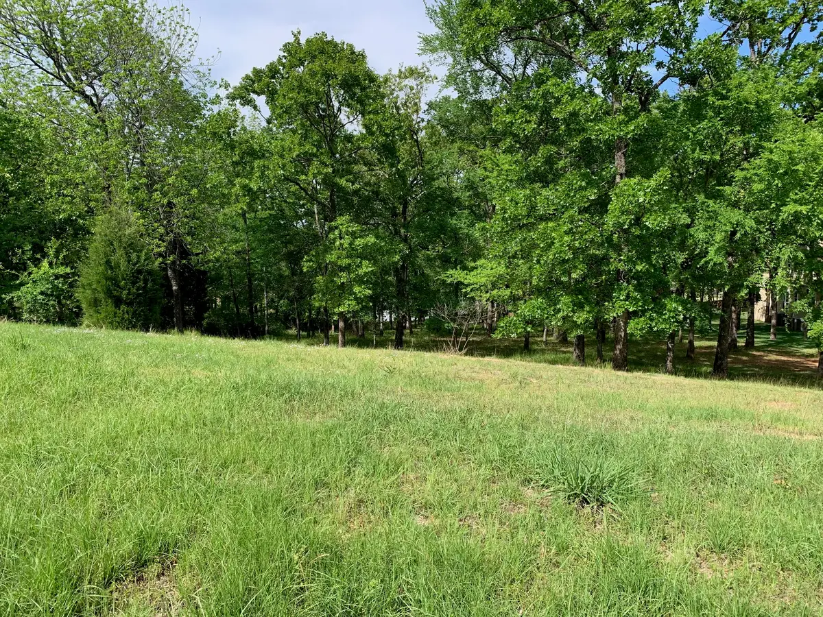 TBD Esquire Estates Road, Mabank, TX 75156 - #1
