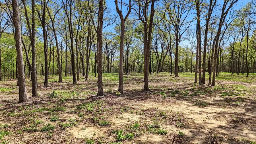 Lot 13 Buck Trail Road, Pottsboro, TX 75076 - #2