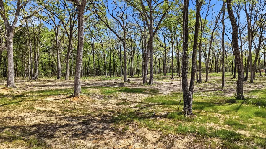 Lot 13 Buck Trail Road, Pottsboro, TX 75076 - #3