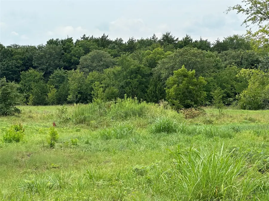 TBD Fm 678, Whitesboro, TX 76273 - #2