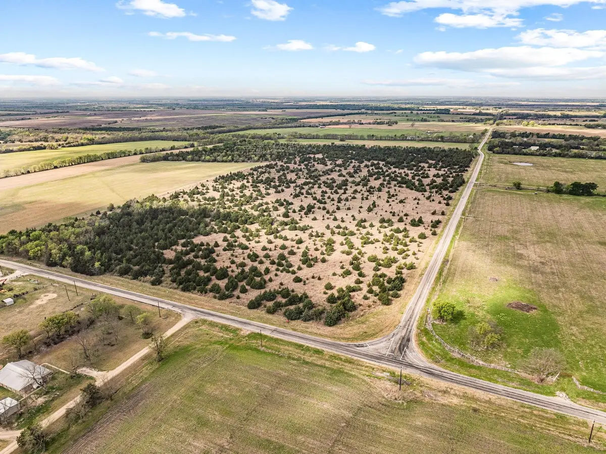 TBD Fm 128, Cooper, TX 75432 - #1