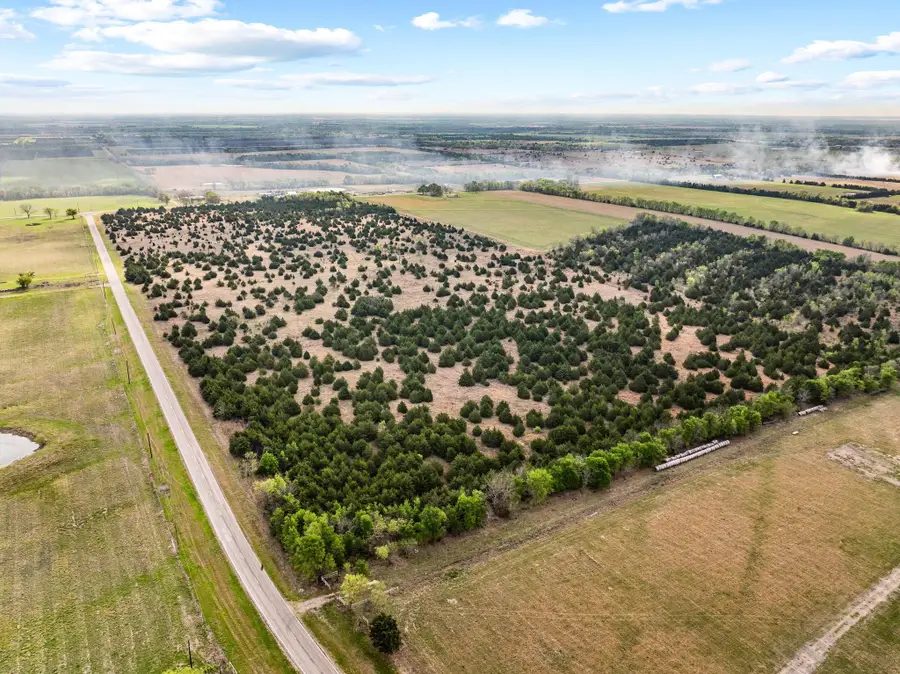 TBD Fm 128, Cooper, TX 75432 - #2