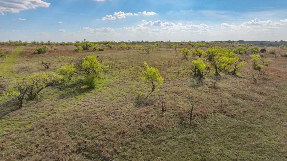 195 Highway 2823, Dublin, TX 76446 - #1