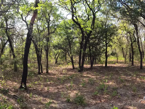 2113 Jeremy Street, Tolar, TX 76476