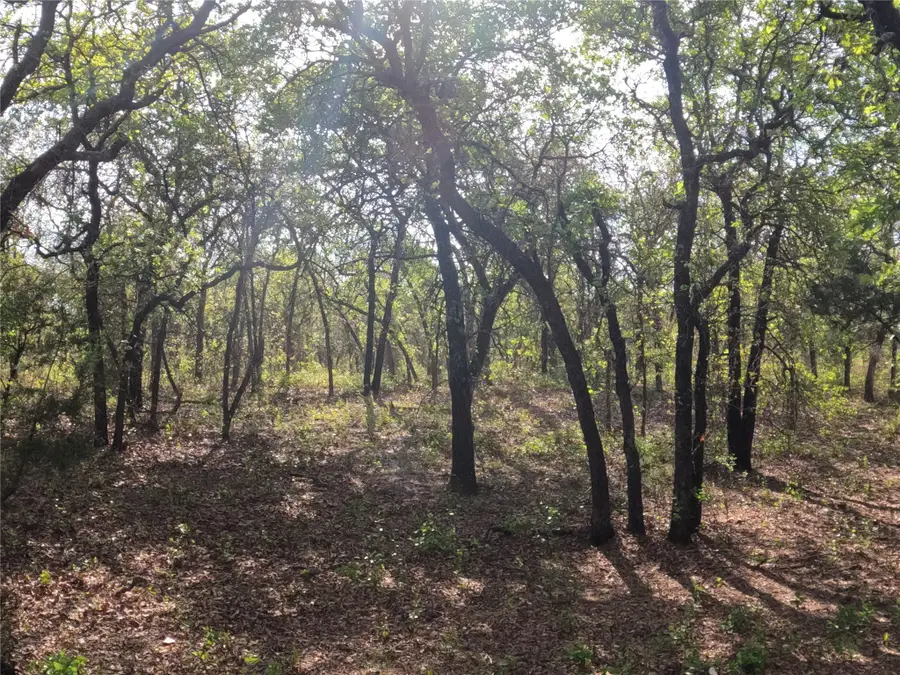 2113 Jeremy Street, Tolar, TX 76476 - #3