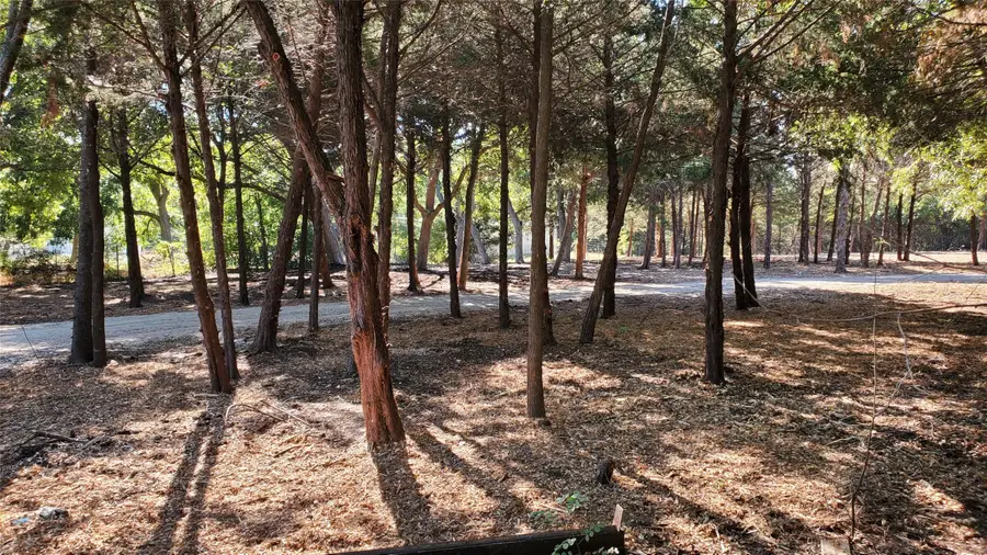 TBD Cr 438, Princeton, TX 75407 - #3