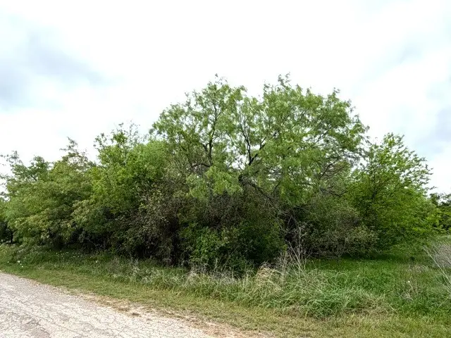 TBD Mcalister, Mingus, TX 76463 - #1