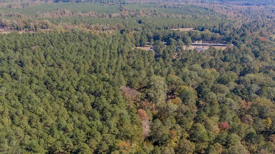 00 Hwy 159, Minden, LA 71055 - #2