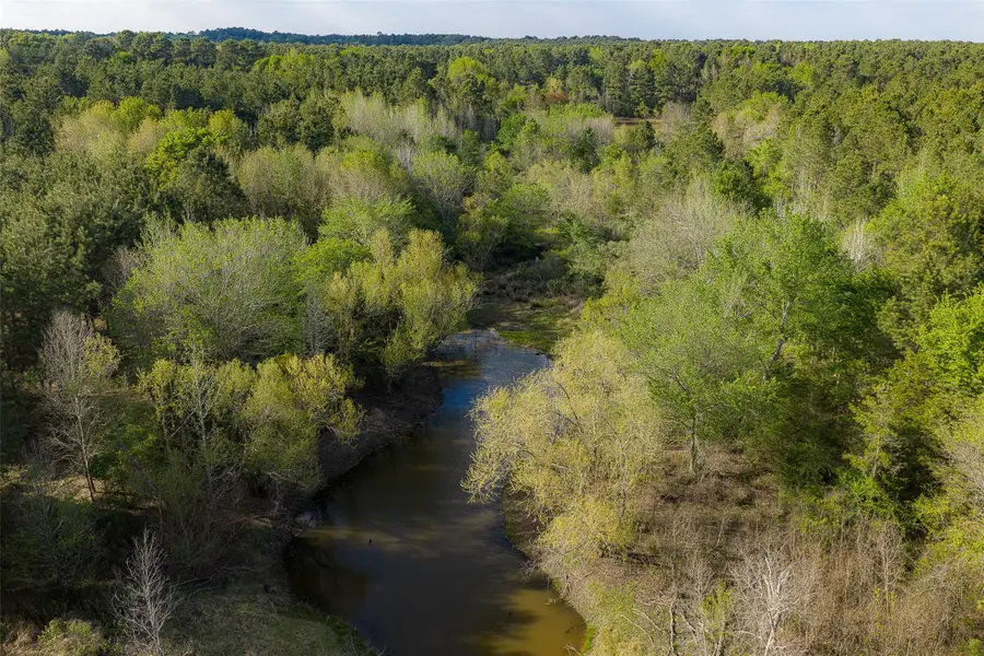 00 Farm To Market Road 2022, Grapeland, TX 75844 - #3