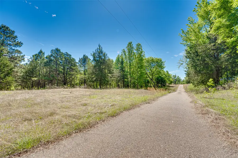 11088 County Road 334, Tyler, TX 75708 - #3