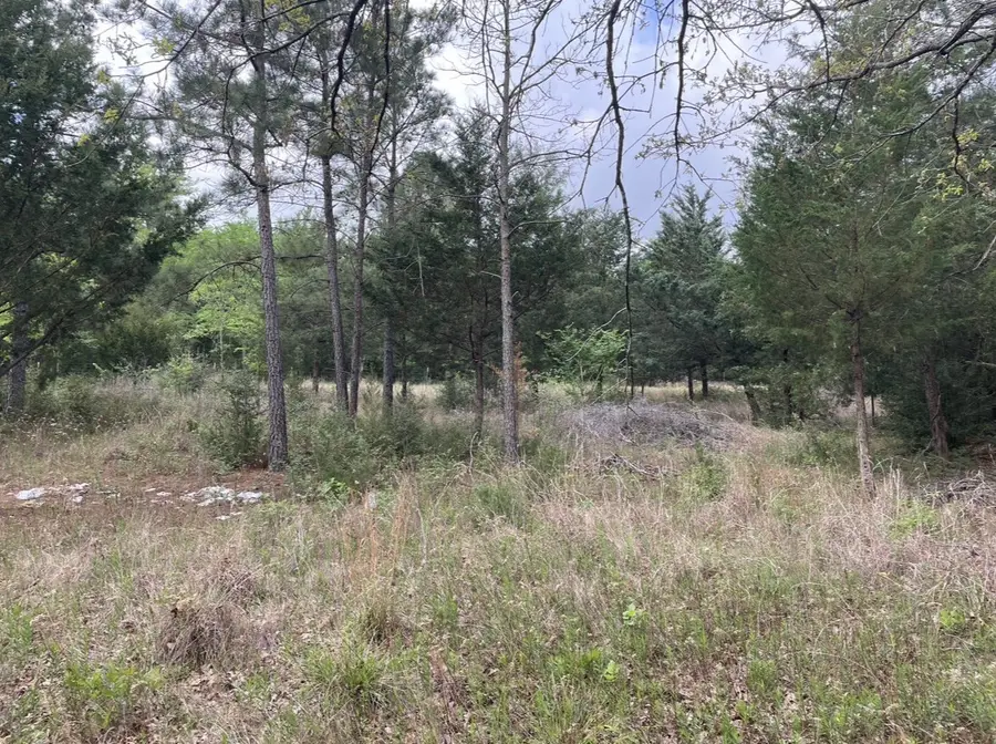 0 N State Hwy 19, Palestine, TX 75803 - #2