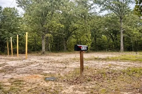 132 Prewitt Street, Mabank, TX 75156 - #2