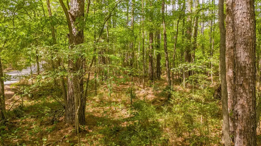 1723 Pineview Lane, Hideaway, TX 75771 - #2