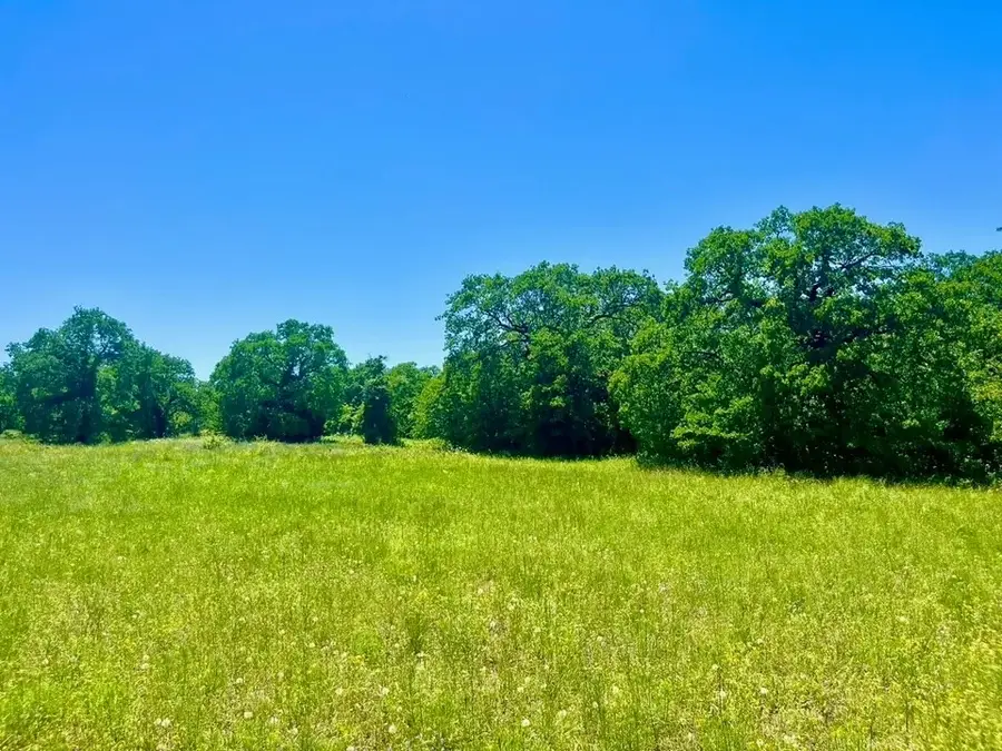 Lot 34 Galway Rd, Poolville, TX 76487 - #3