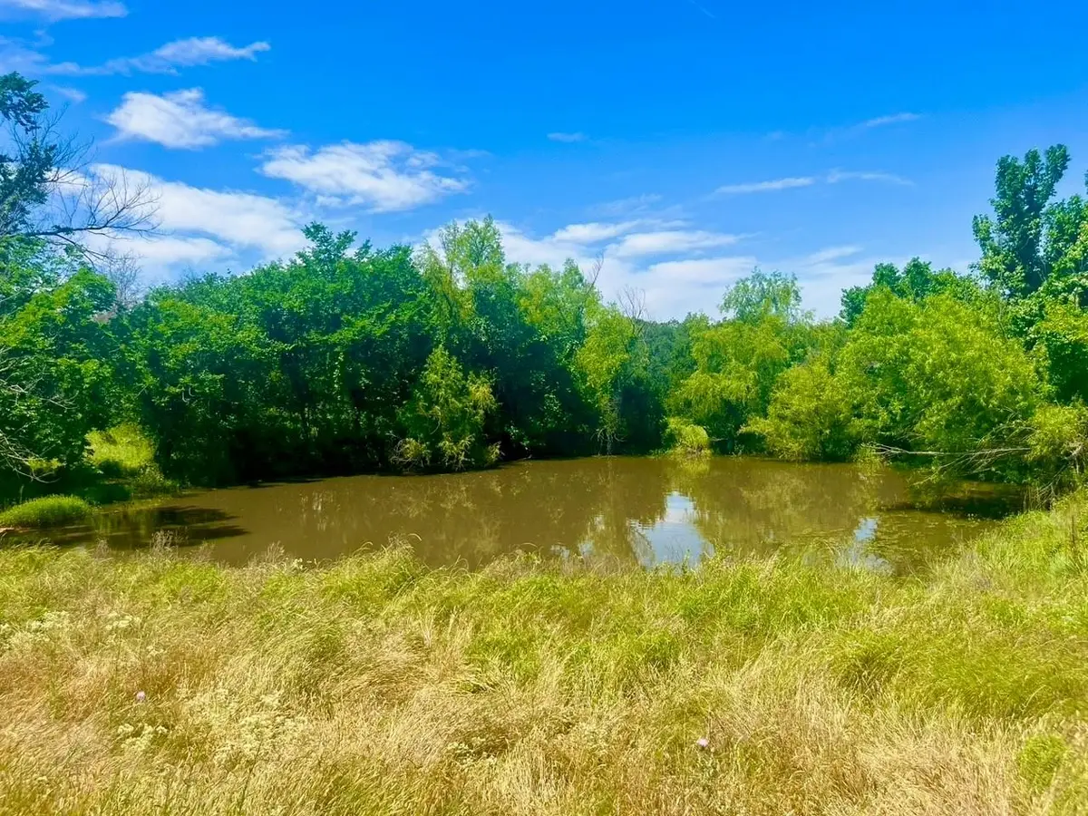 Lot 99 Arlow Road, Poolville, TX 76487 - #1