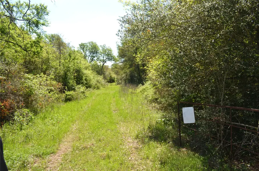 977 E, Leona, TX 75850 - #2