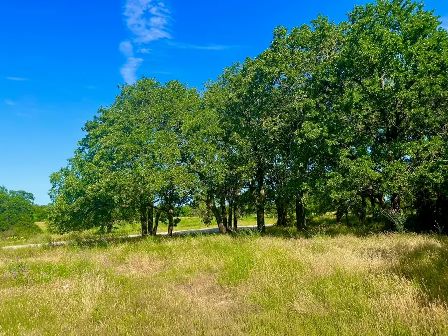 Lot 55 & 56 Kilkenny Road, Poolville, TX 76487 - #2