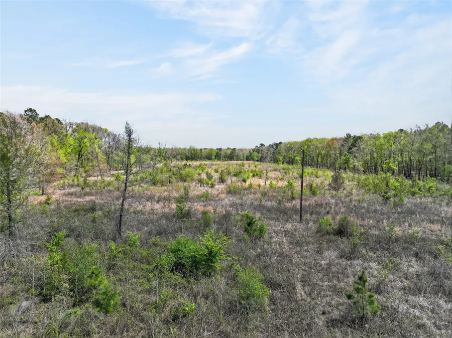 55+/- Acres County Road 4223, Simms, TX 75574 - #3