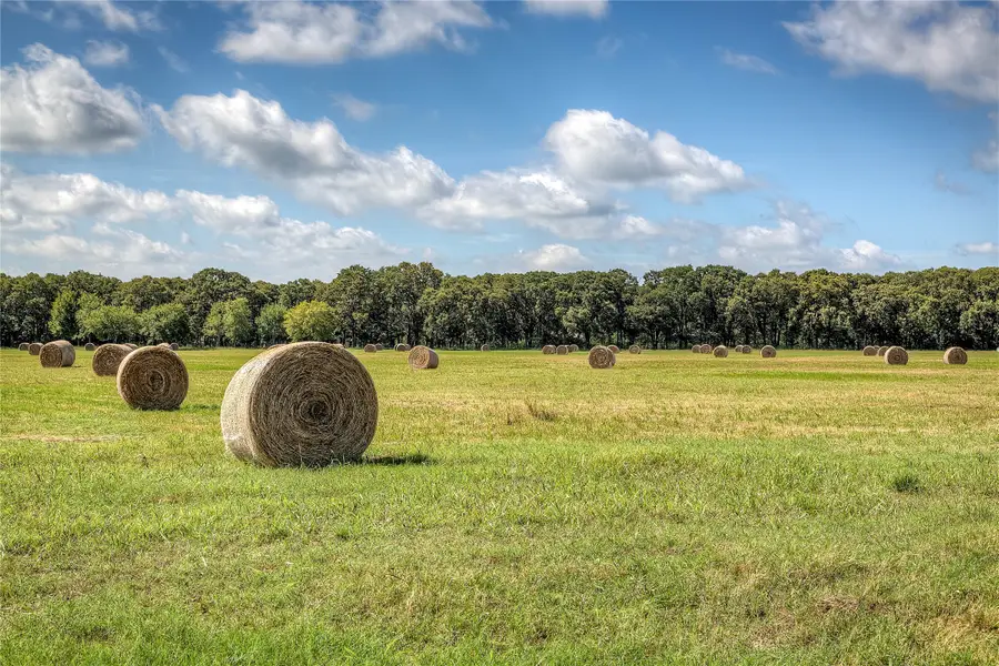 Lot 1 County Road 120, Wills Point, TX 75169 - #3