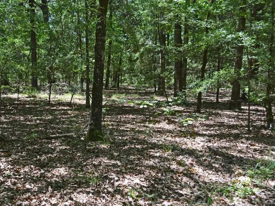 TBD County Road 14590, Pattonville, TX 75468 - #2