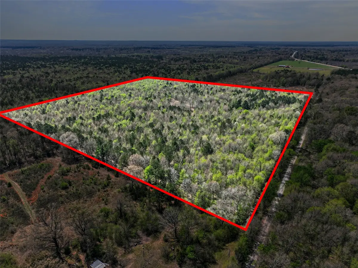 1155 County Road 4153, Simms, TX 75574 - #1