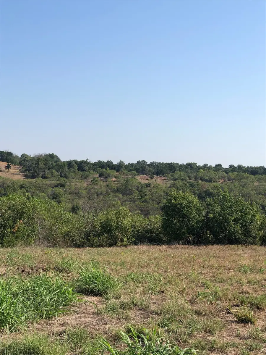 8440 Caradale Court, Cleburne, TX 76033 - #2