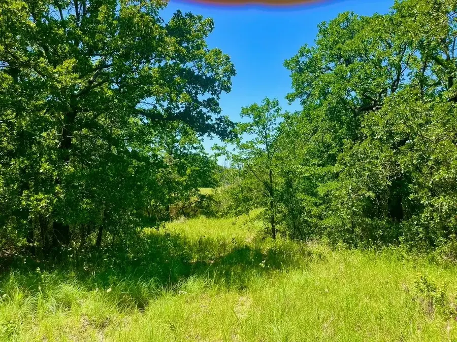 Lot 34 Galway Rd, Poolville, TX 76487 - #2