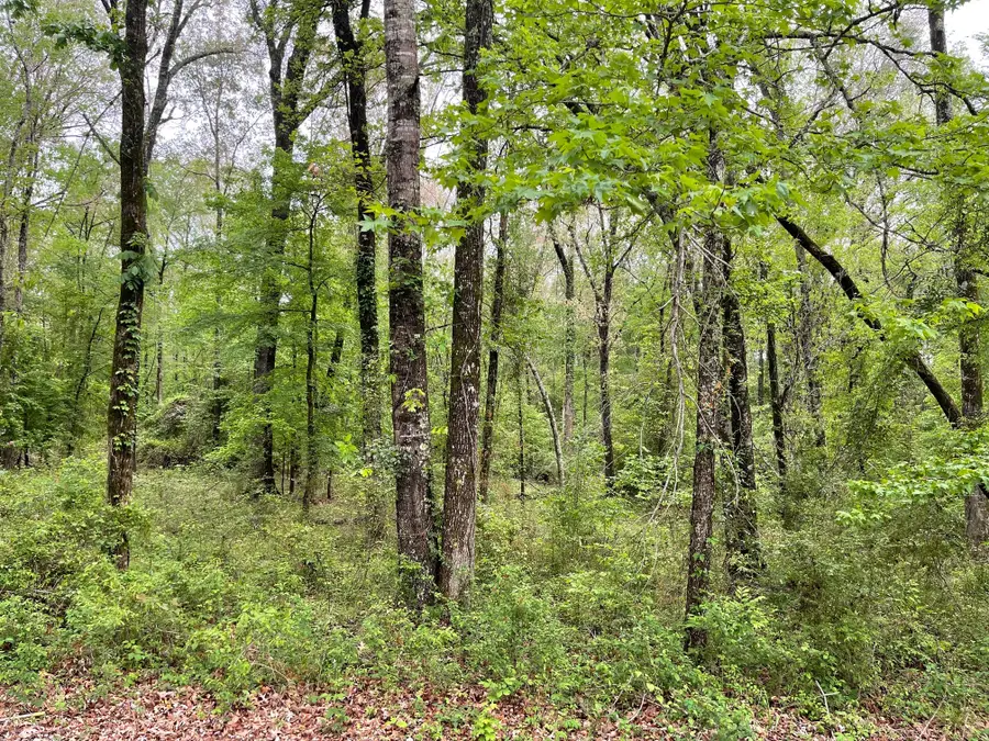 0 Shane Lane #Lot 41, Keithville, LA 71047 - #2