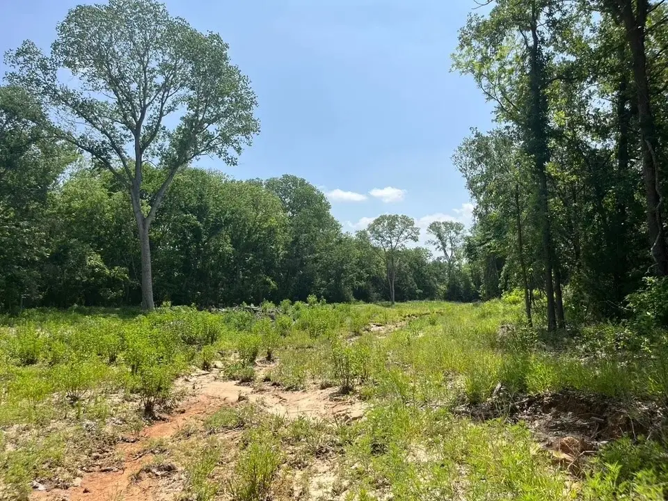 Lot 45 Antrim Ct, Poolville, TX 76487 - #1
