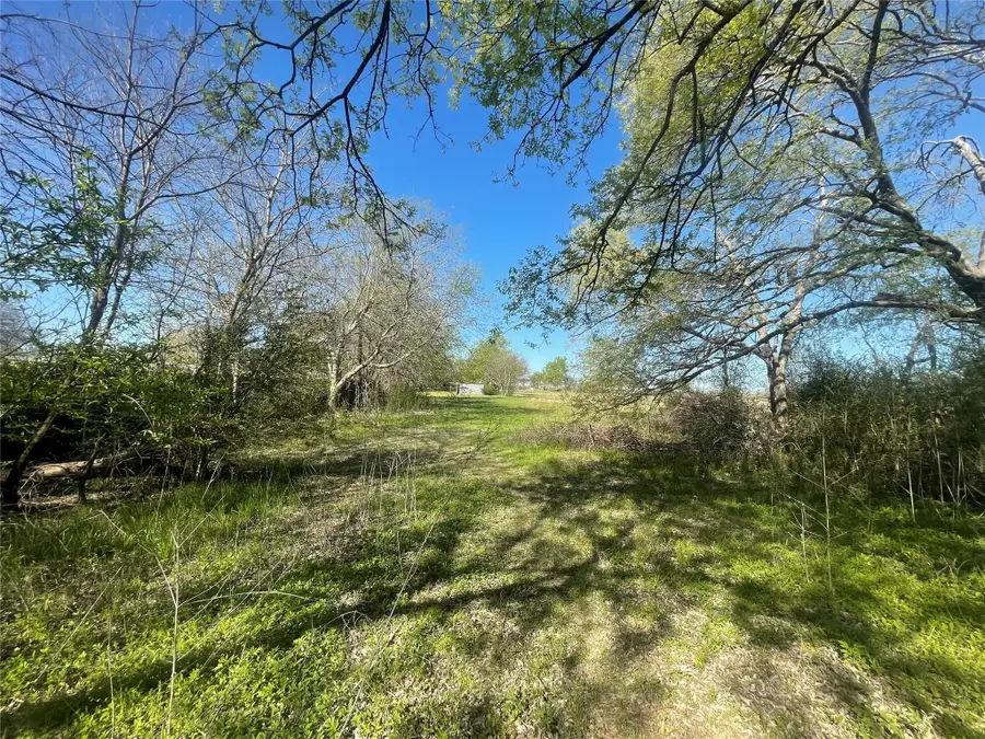 514 W Roosevelt Avenue, Whitney, TX 76692 - #2