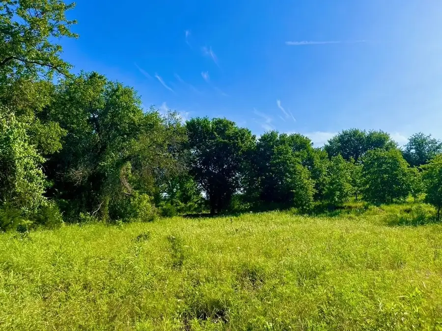 Lot 53 Wicklow Court, Poolville, TX 76487 - #2