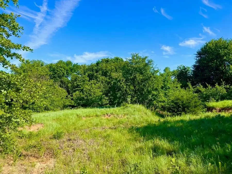 Lot 53 Wicklow Court, Poolville, TX 76487 - #3