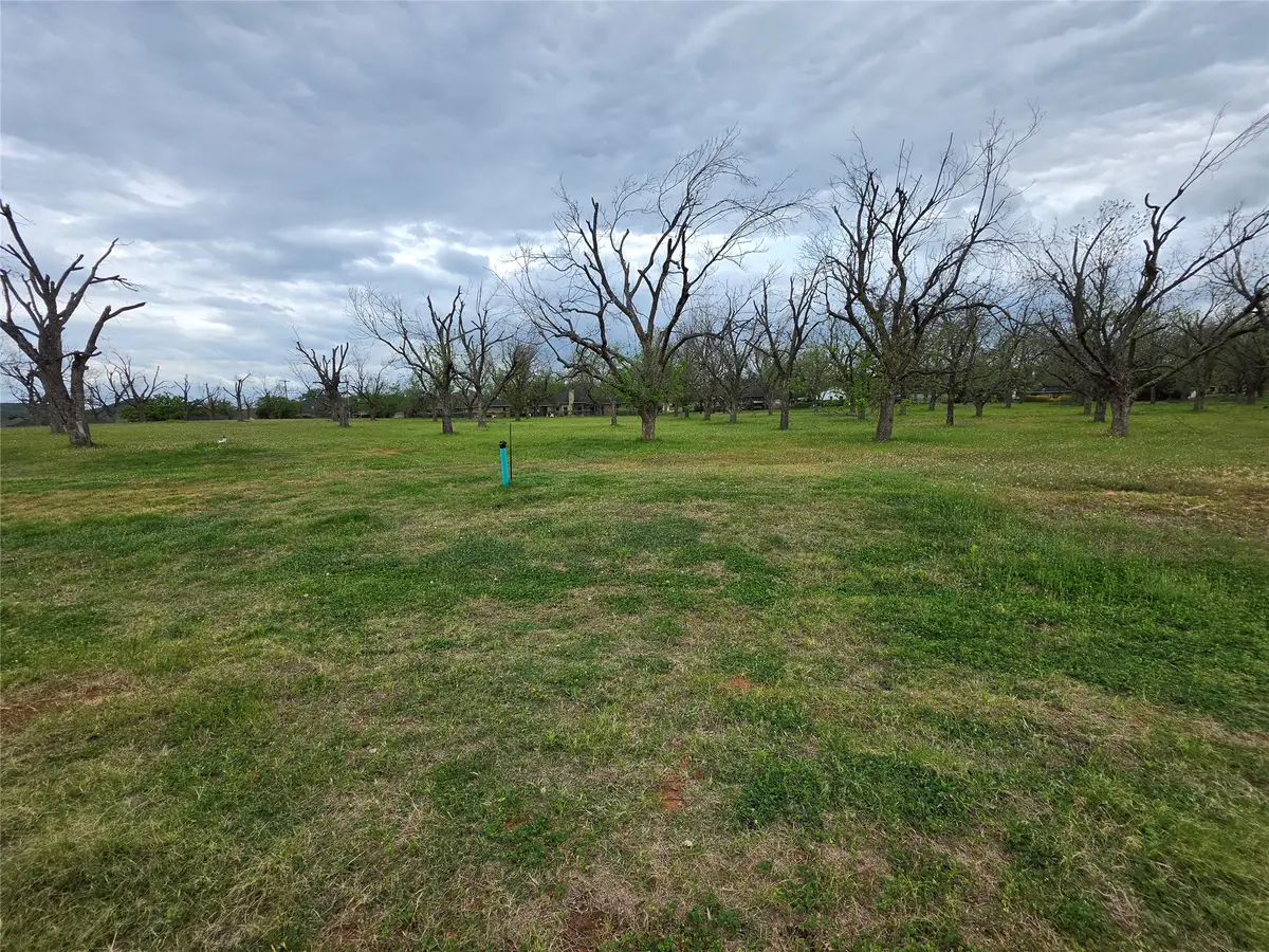 8421 W Landings Road, Granbury, TX 76049 - #1