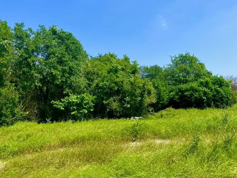 Lot 47 Antrim Court, Poolville, TX 76487 - #2