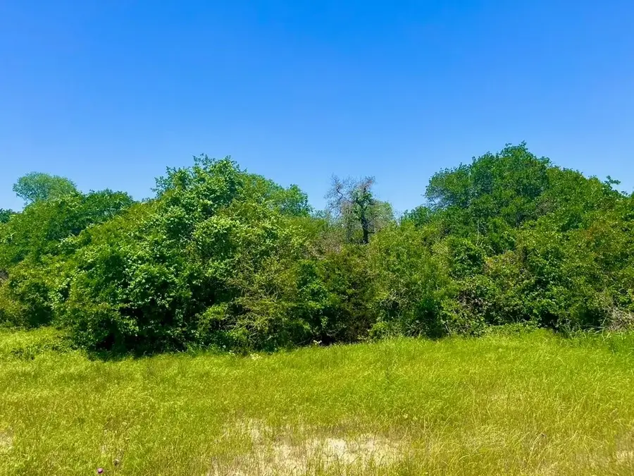 Lot 48 Antrim Court, Poolville, TX 76487 - #3